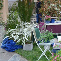 Primavera Erba 2018