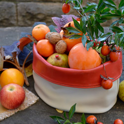 Colori d’autunno
