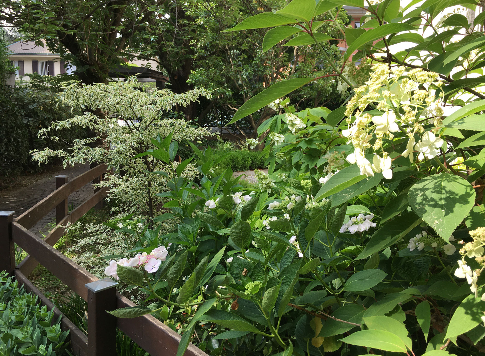 Piccolo giardino in condominio